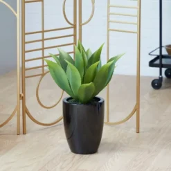 Succulent In Sleek Black Planter-Kirkland's Home Shop