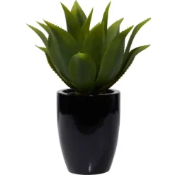 Succulent In Sleek Black Planter-Kirkland's Home Shop