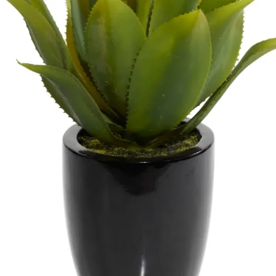Succulent In Sleek Black Planter-Kirkland's Home Shop
