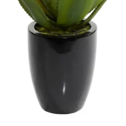 Succulent In Sleek Black Planter-Kirkland's Home Shop