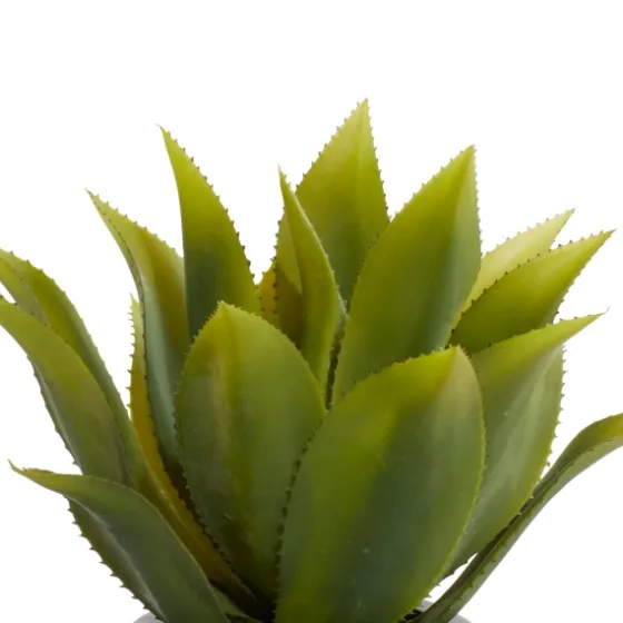 Succulent In Sleek Black Planter-Kirkland's Home Shop