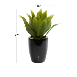 Succulent In Sleek Black Planter-Kirkland's Home Shop