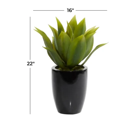 Succulent In Sleek Black Planter-Kirkland's Home Shop