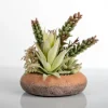Succulent Mix In Round Terracotta Planter-Kirkland's Home Cheap