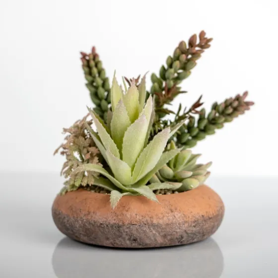 Succulent Mix In Round Terracotta Planter-Kirkland's Home Cheap