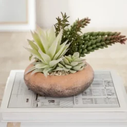 Succulent Mix In Round Terracotta Planter-Kirkland's Home Cheap