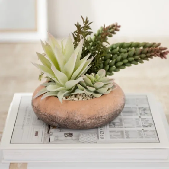 Succulent Mix In Round Terracotta Planter-Kirkland's Home Cheap