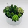 Succulent Variety In Modern White Planter-Kirkland's Home Clearance