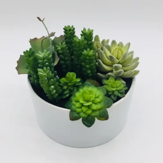 Succulent Variety In Modern White Planter-Kirkland's Home Clearance