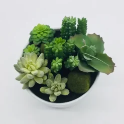 Succulent Variety In Modern White Planter-Kirkland's Home Clearance