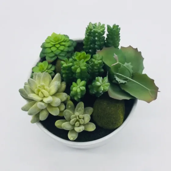 Succulent Variety In Modern White Planter-Kirkland's Home Clearance