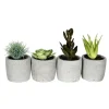 Succulents In Ceramic Pots, Set Of 4-Kirkland's Home Cheap
