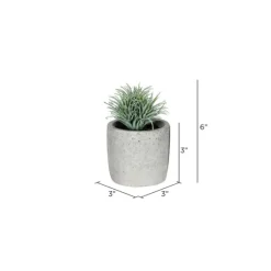 Succulents In Ceramic Pots, Set Of 4-Kirkland's Home Cheap