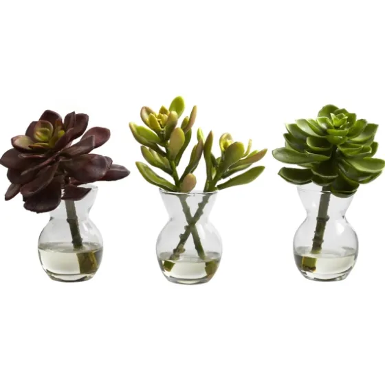 Succulents In Glass Vases, Set Of 3-Kirkland's Home Store