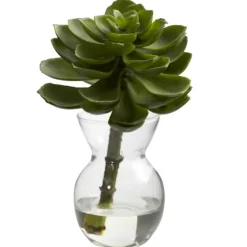 Succulents In Glass Vases, Set Of 3-Kirkland's Home Store