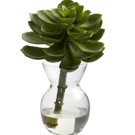 Succulents In Glass Vases, Set Of 3-Kirkland's Home Store