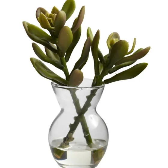 Succulents In Glass Vases, Set Of 3-Kirkland's Home Store