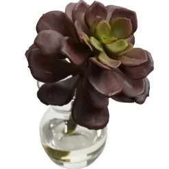 Succulents In Glass Vases, Set Of 3-Kirkland's Home Store