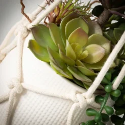 Succulents In Hanging Macrame Planter-Kirkland's Home Online