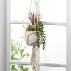Succulents In Hanging Macrame Planter-Kirkland's Home Online