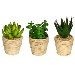 Succulents In Twine Planters, Set Of 3-Kirkland's Home Store