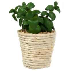 Succulents In Twine Planters, Set Of 3-Kirkland's Home Store