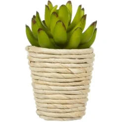 Succulents In Twine Planters, Set Of 3-Kirkland's Home Store