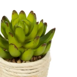 Succulents In Twine Planters, Set Of 3-Kirkland's Home Store