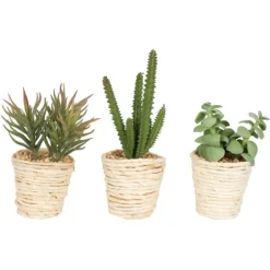 Succulents In Twine Planters, Set Of 3-Kirkland's Home Online