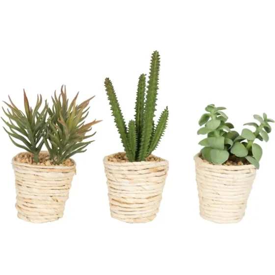Succulents In Twine Planters, Set Of 3-Kirkland's Home Online