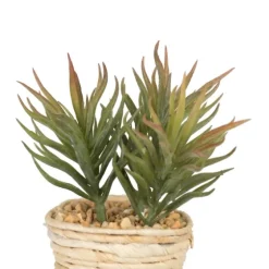 Succulents In Twine Planters, Set Of 3-Kirkland's Home Online