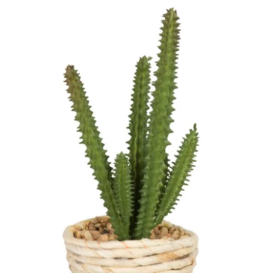 Succulents In Twine Planters, Set Of 3-Kirkland's Home Online