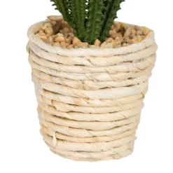 Succulents In Twine Planters, Set Of 3-Kirkland's Home Online