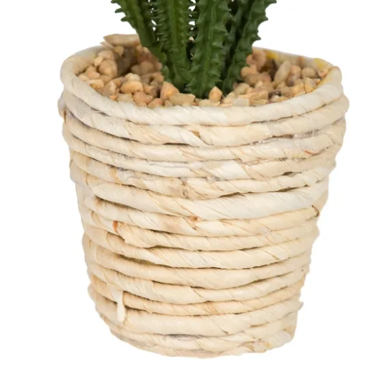 Succulents In Twine Planters, Set Of 3-Kirkland's Home Online
