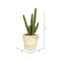 Succulents In Twine Planters, Set Of 3-Kirkland's Home Online