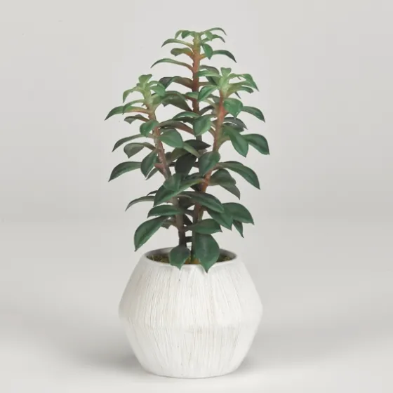 Succulents In White Ceramic Planter-Kirkland's Home Store