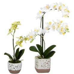 Sunshine Orchids In Speckled Planters, Set Of 2-Kirkland's Home Flash Sale