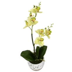 Sunshine Orchids In Speckled Planters, Set Of 2-Kirkland's Home Flash Sale