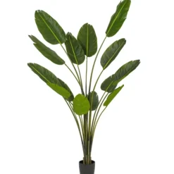 Travelers Palm Potted Tree, 7 Ft.-Kirkland's Home Best Sale