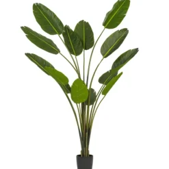 Travelers Palm Potted Tree, 7 Ft.-Kirkland's Home Best Sale