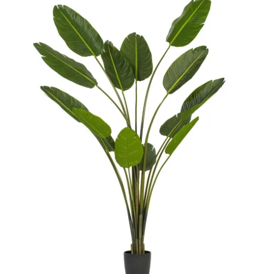 Travelers Palm Potted Tree, 7 Ft.-Kirkland's Home Best Sale