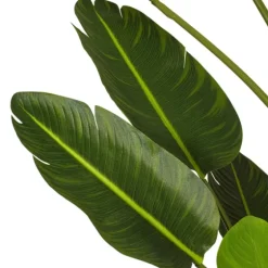 Travelers Palm Potted Tree, 7 Ft.-Kirkland's Home Best Sale