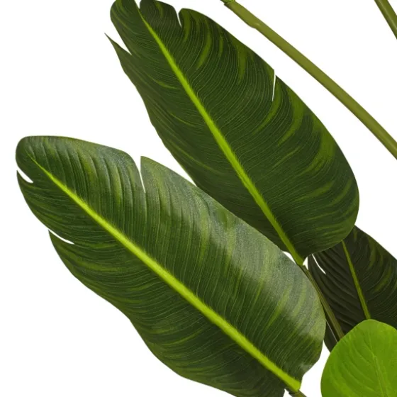Travelers Palm Potted Tree, 7 Ft.-Kirkland's Home Best Sale