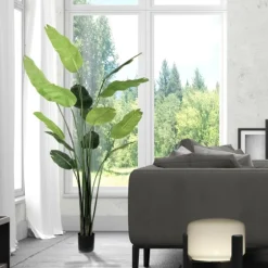 Travelers Palm Potted Tree, 7 Ft.-Kirkland's Home Best Sale
