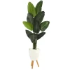 Travelers Palm Rock Tree In White Plant Stand-Kirkland's Home Flash Sale