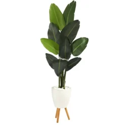 Travelers Palm Rock Tree In White Plant Stand-Kirkland's Home Flash Sale