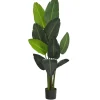 Travelers Palm Tree In Black Planter, 58 In.-Kirkland's Home Best