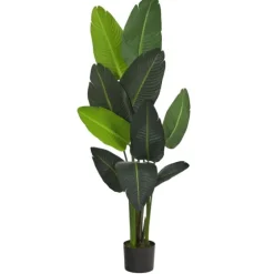 Travelers Palm Tree In Black Planter, 58 In.-Kirkland's Home Best