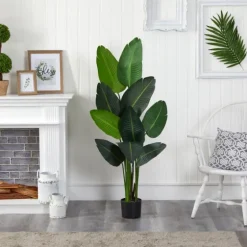 Travelers Palm Tree In Black Planter, 58 In.-Kirkland's Home Best
