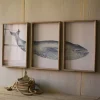 Triptych Whale Framed Art Prints, Set Of 3-Kirkland's Home Hot